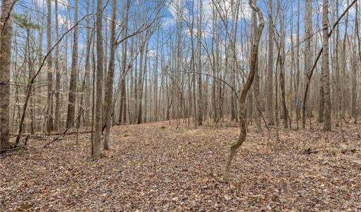 Photo #15 of 8729 A Allison, Cedar Grove, NC 12.7 acres