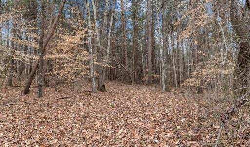 Photo #11 of 8729 A Allison, Cedar Grove, NC 12.7 acres