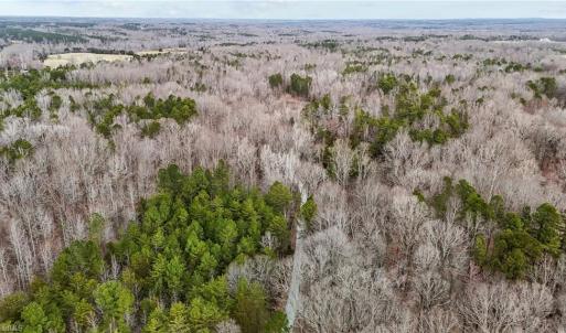 Photo #8 of 8729 B Allison, Cedar Grove, NC 12.9 acres