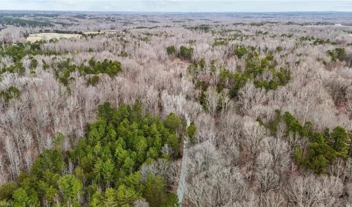 Photo #9 of 8729 B Allison, Cedar Grove, NC 12.9 acres
