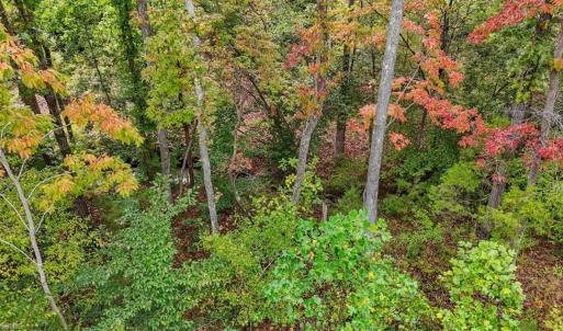 Photo #16 of Old Courthouse, Sophia, NC 38.8 acres