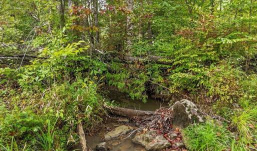 Photo #5 of Old Courthouse, Sophia, NC 38.8 acres
