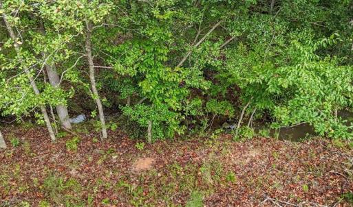 Photo #14 of Old Courthouse, Sophia, NC 38.8 acres
