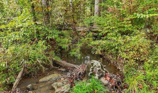 Photo #15 of Old Courthouse, Sophia, NC 38.8 acres