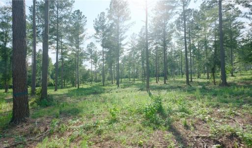 Photo #7 of 6 Carson, Cleveland, NC 5.0 acres