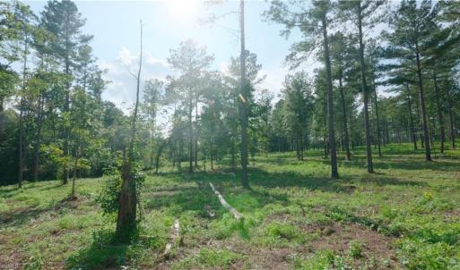 Photo #14 of 6 Carson, Cleveland, NC 5.0 acres