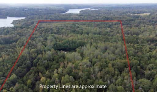 Photo #5 of Speedway, Reidsville, NC 32.5 acres