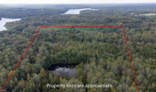 Photo #4 of Speedway, Reidsville, NC 32.5 acres