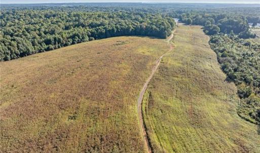 Photo #12 of 9135 US Highway 220, Randleman, NC 284.9 acres