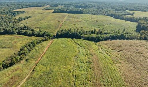 Photo #2 of 9135 US Highway 220, Randleman, NC 284.9 acres