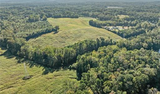 Photo #17 of 9135 US Highway 220, Randleman, NC 284.9 acres