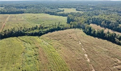 Photo #16 of 9135 US Highway 220, Randleman, NC 284.9 acres