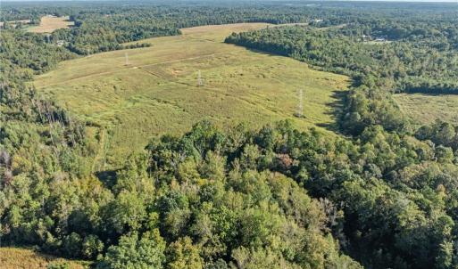 Photo #18 of 9135 US Highway 220, Randleman, NC 284.9 acres