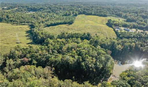 Photo #21 of 9135 US Highway 220, Randleman, NC 284.9 acres