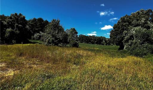 gentle slope with views of Hanging Rock Mt.