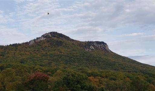 Photo #13 of Reid, King, NC 36.0 acres