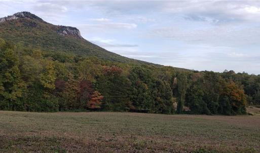 Photo #1 of Reid, King, NC 36.0 acres