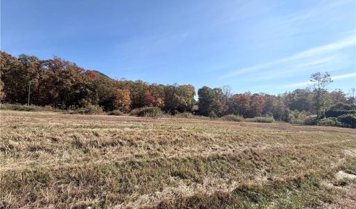 Photo #5 of Reid, King, NC 36.0 acres