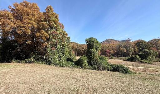 Photo #23 of Reid, King, NC 36.0 acres