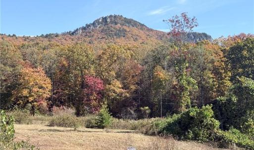 Photo #17 of Reid, King, NC 36.0 acres