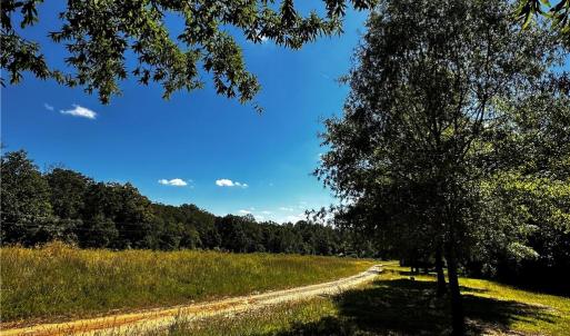 This is the tree lined area on the Western Reid Rd frontage and facing South toward Covington Rd.