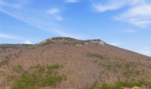 Photo #22 of Reid, King, NC 36.0 acres