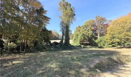 Photo #24 of Reid, King, NC 36.0 acres
