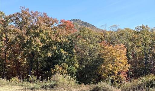 Photo #29 of Reid, King, NC 36.0 acres