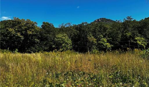 East Side of acreage is level - potential pasture or