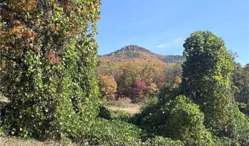 Photo #17 of Reid, King, NC 36.0 acres