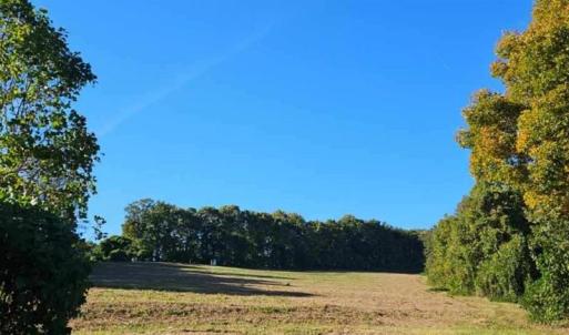 Photo #9 of Reid, King, NC 36.0 acres