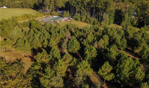 Photo #6 of 1175 McCoy Farm, Salisbury, NC 46.0 acres