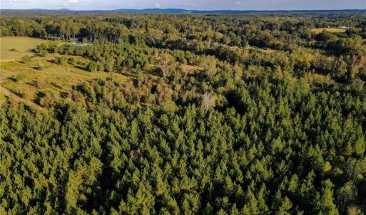 Photo #12 of 1175 McCoy Farm, Salisbury, NC 46.0 acres
