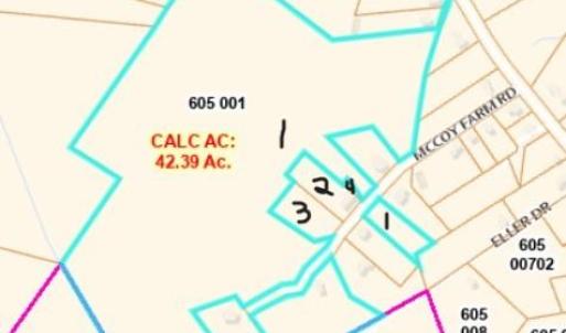 Large lot with smaller lots