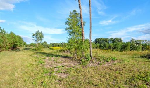 Photo #20 of 1175 McCoy Farm, Salisbury, NC 46.0 acres