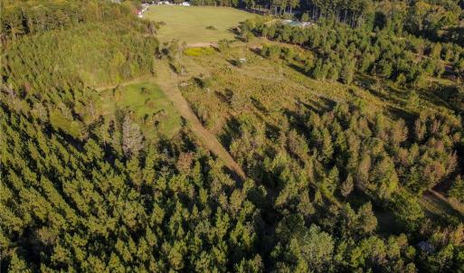 Photo #11 of 1175 McCoy Farm, Salisbury, NC 46.0 acres