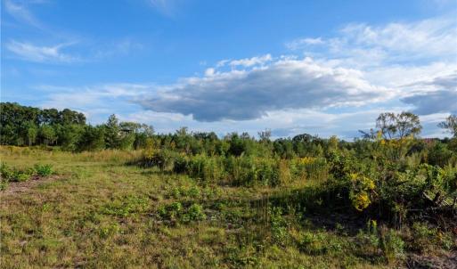 Photo #19 of 1175 McCoy Farm, Salisbury, NC 46.0 acres