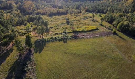 Photo #4 of 1175 McCoy Farm, Salisbury, NC 46.0 acres