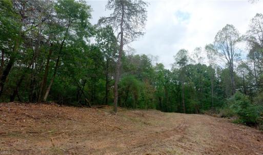 Photo #23 of 1580 Seven Island, Danbury, NC 39.0 acres