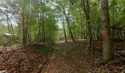 Photo #22 of 1580 Seven Island, Danbury, NC 39.0 acres