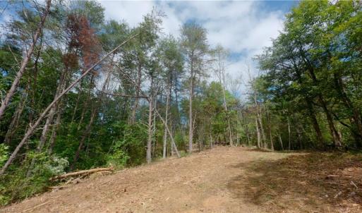 Photo #32 of 1580 Seven Island, Danbury, NC 39.0 acres