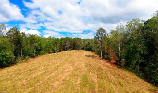 Photo #28 of 1580 Seven Island, Danbury, NC 39.0 acres