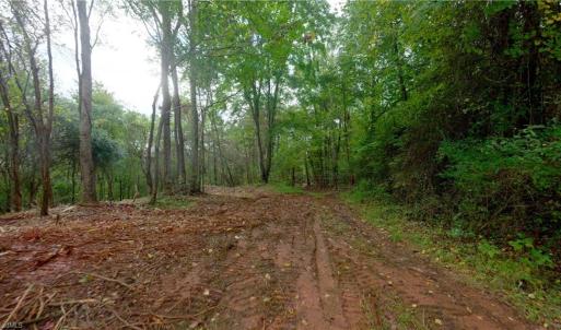 Photo #20 of 1580 Seven Island, Danbury, NC 39.0 acres