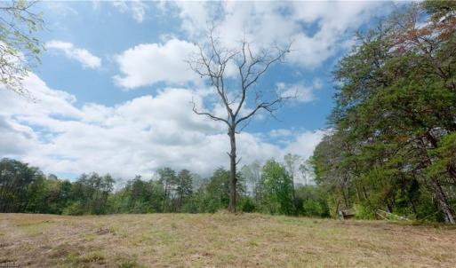 Photo #30 of 1580 Seven Island, Danbury, NC 39.0 acres