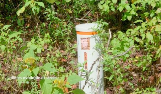 Photo #10 of 1580 Seven Island, Danbury, NC 39.0 acres