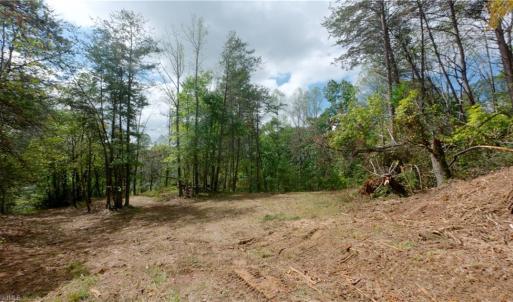 Photo #33 of 1580 Seven Island, Danbury, NC 39.0 acres