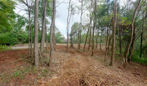 Photo #19 of 1580 Seven Island, Danbury, NC 39.0 acres