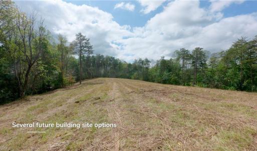 Photo #31 of 1580 Seven Island, Danbury, NC 39.0 acres
