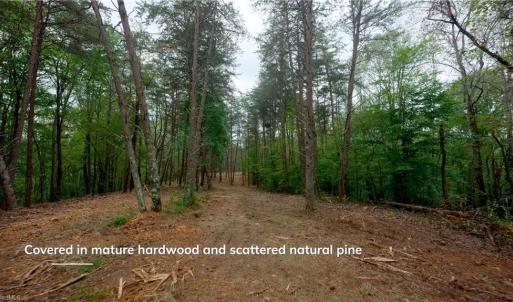 Photo #25 of 1580 Seven Island, Danbury, NC 39.0 acres