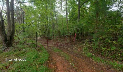 Photo #21 of 1580 Seven Island, Danbury, NC 39.0 acres